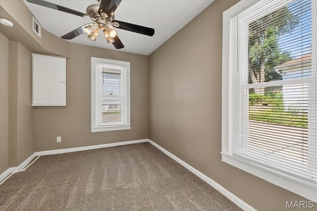 4005 Eichelberger St, Saint Louis, MO 63116 - photo 19