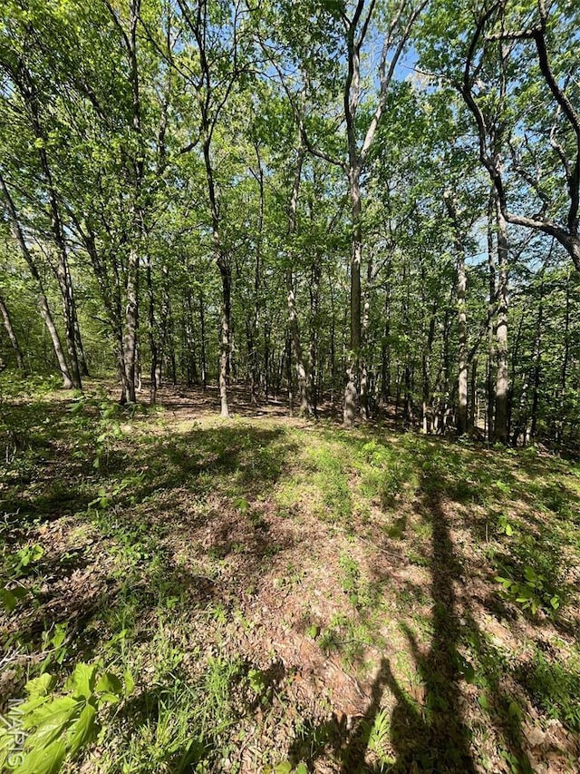 0 Log Cabin Trl, New Florence, MO 63363