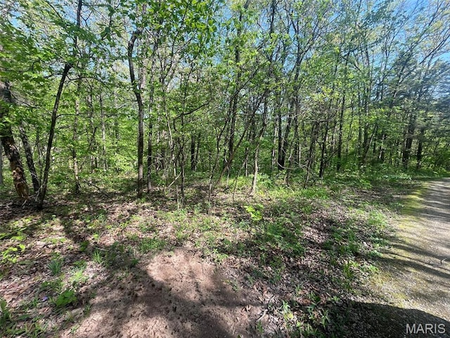 0 Log Cabin Trl, New Florence, MO 63363
