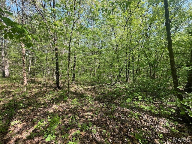 0 Log Cabin Trl, New Florence, MO 63363