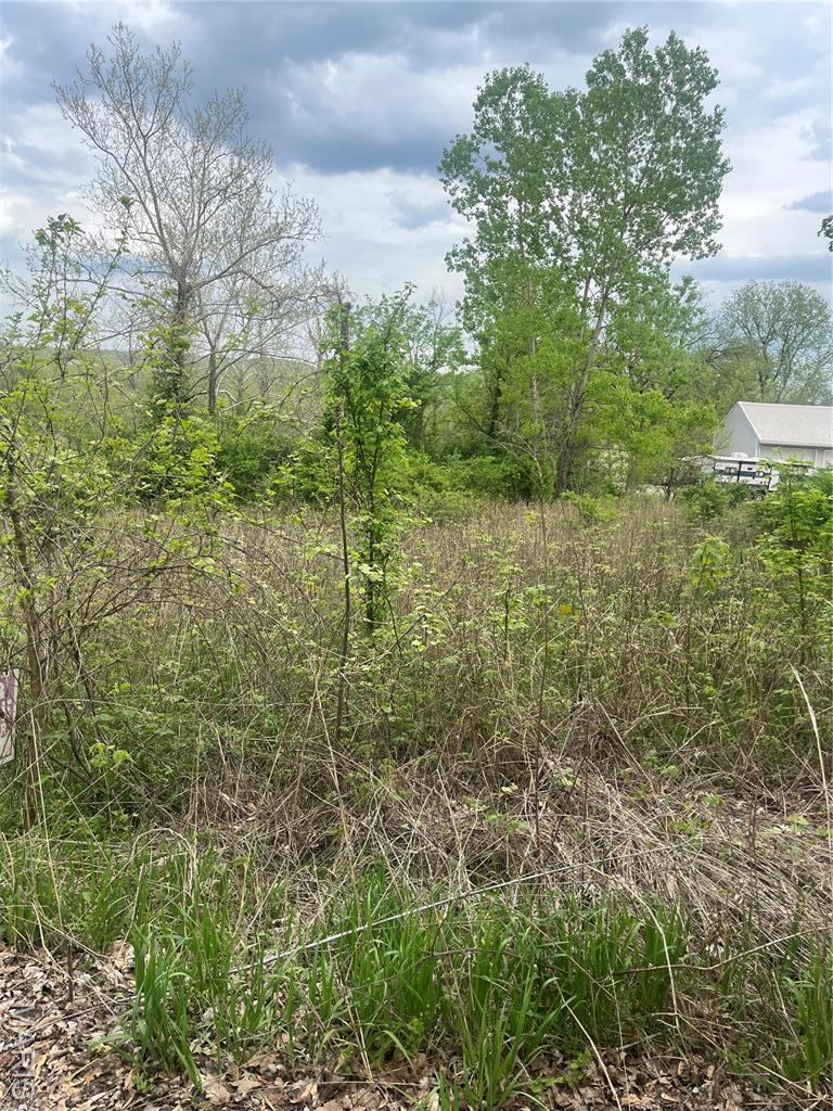 784 Sunset Maple Dr, Gray Summit, MO 63039