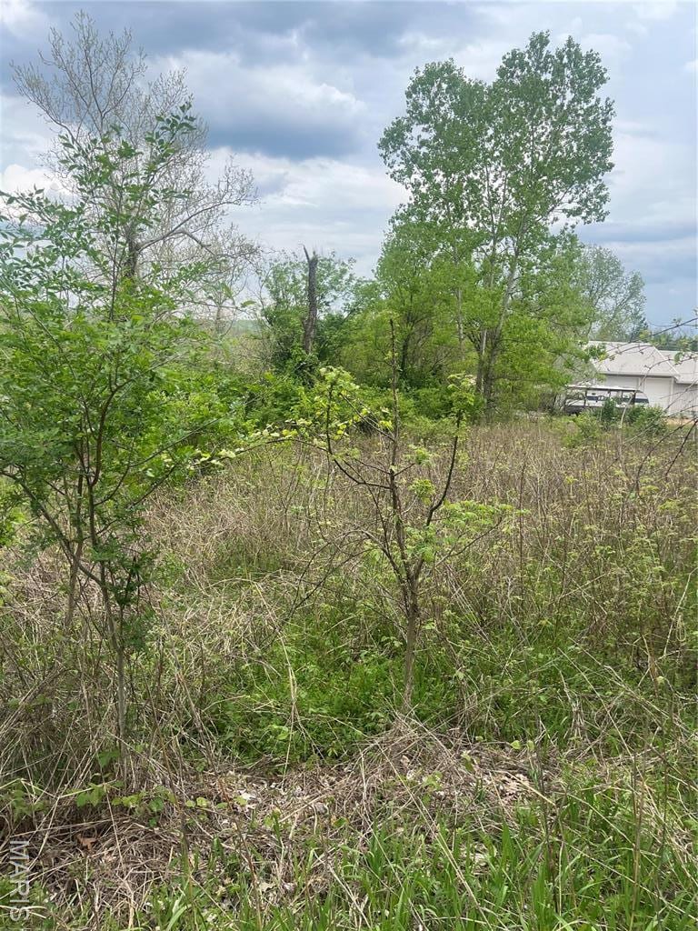 784 Sunset Maple Dr, Gray Summit, MO 63039