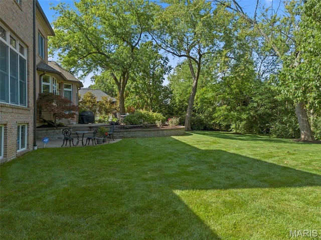 view of green lawn