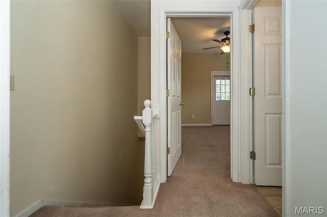 1003 Allen Ave, Saint Louis, MO 63104 - hallway with light carpet and baseboards
