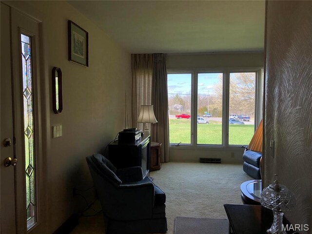 1500 Gravois Rd, High Ridge, MO 63049 - view of carpeted living room