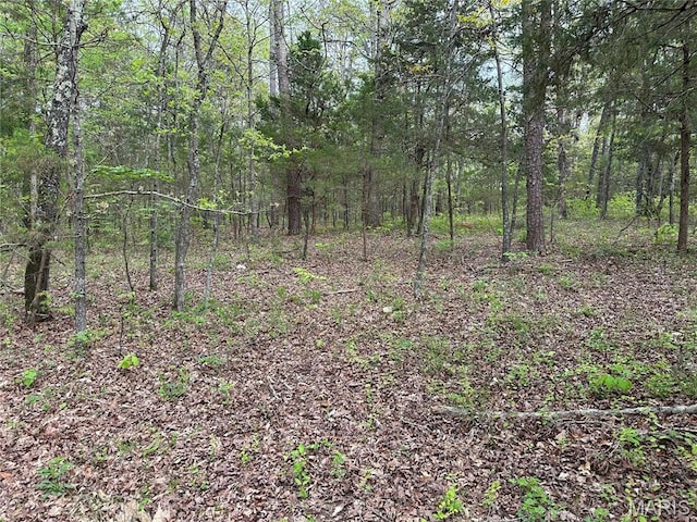 6209 Ripley 21 N-18, Doniphan, MO 63935 - view of wooded area