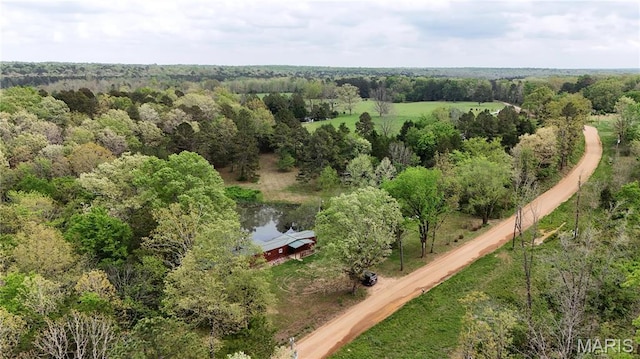 6209 Ripley 21 N-18, Doniphan, MO 63935 - aerial overview of property's location with rural landscape