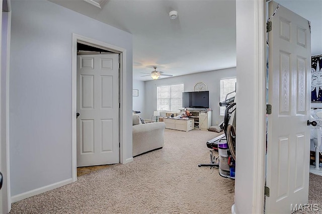 904 Indian Rock Ct, Wentzville, MO 63385 - hall with carpet flooring and baseboards