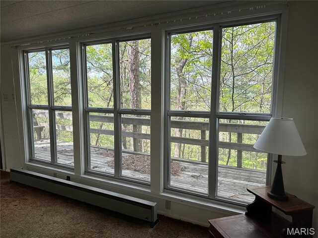 182 Ozark Dr, Ironton, MO 63650 - detailed view of baseboard heating and carpet floors