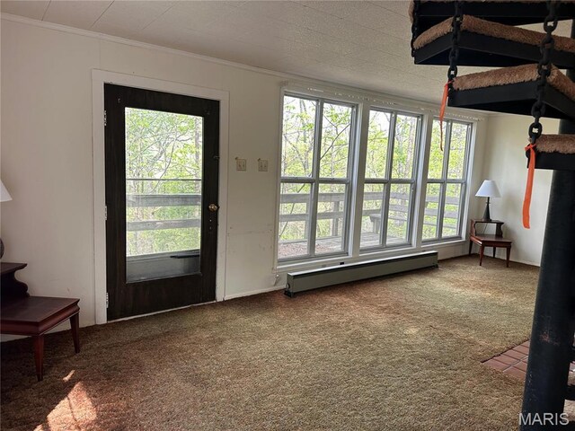 182 Ozark Dr, Ironton, MO 63650 - carpeted entryway featuring ornamental molding and a baseboard radiator