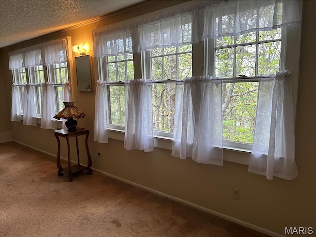 182 Ozark Dr, Ironton, MO 63650 - doorway to outside featuring carpet, baseboards, and a textured ceiling