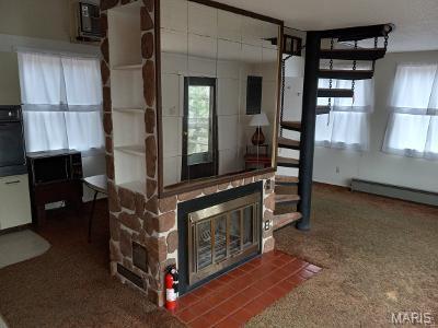 182 Ozark Dr, Ironton, MO 63650 - unfurnished living room with plenty of natural light, carpet floors, and a glass covered fireplace