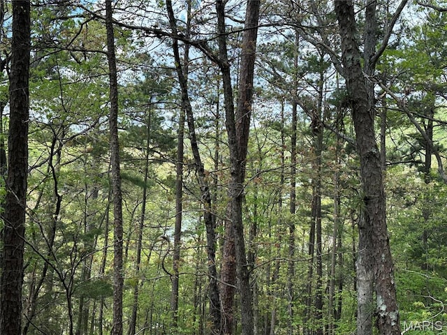 182 Ozark Dr, Ironton, MO 63650 - view of woods