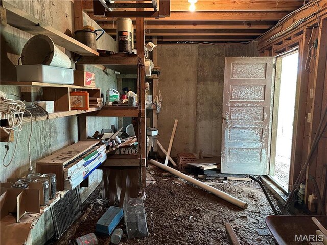 182 Ozark Dr, Ironton, MO 63650 - view of storage room