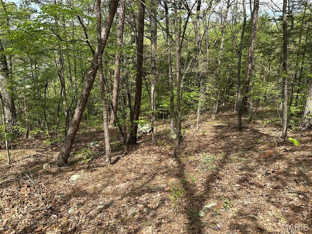 182 Ozark Dr, Ironton, MO 63650 - view of woods