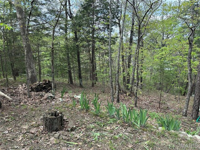 182 Ozark Dr, Ironton, MO 63650 - view of wooded area