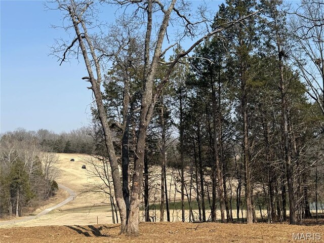 9635 Duffer Dr, Hillsboro, MO 63050 - view of nature