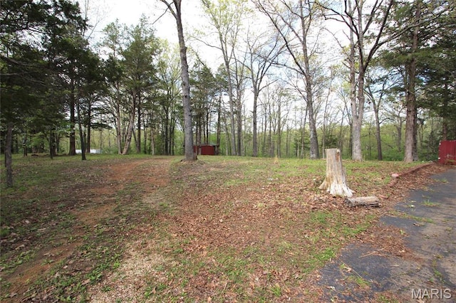 9434 Joan Ct, Bonne Terre, MO 63628 - view of yard