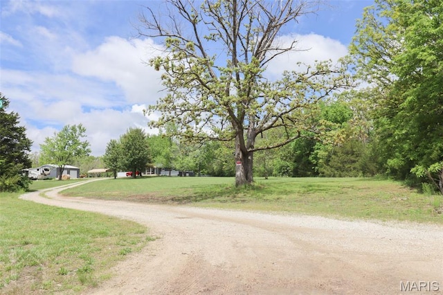 view of dirt / gravel road