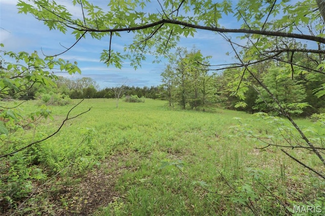 view of tree filled area