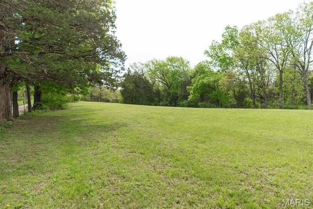 5814 Calvey Creek Rd, Robertsville, MO 63072 - view of green lawn