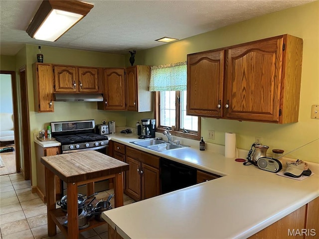 1235 S Hackman St, Staunton, IL 62088 - kitchen featuring a sink, under cabinet range hood, black dishwasher, and light countertops