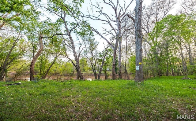 7132 Twin River Rd, Eureka, MO 63025