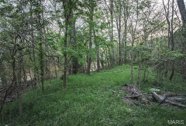7132 Twin River Rd, Eureka, MO 63025