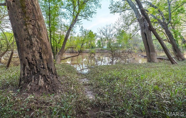 7132 Twin River Rd, Eureka, MO 63025