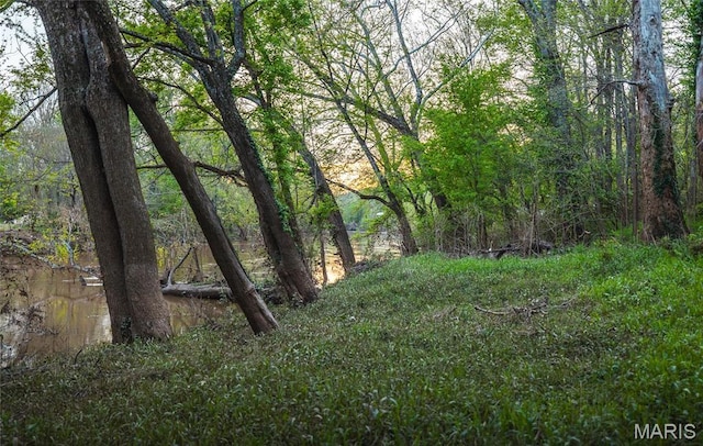 7132 Twin River Rd, Eureka, MO 63025