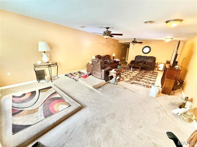 4366 Mcmillen Rd, De Soto, MO 63020 - photo 35