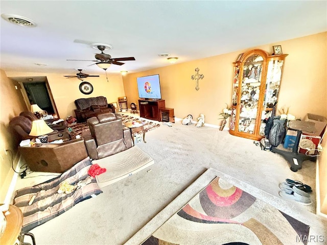 4366 Mcmillen Rd, De Soto, MO 63020 - photo 36