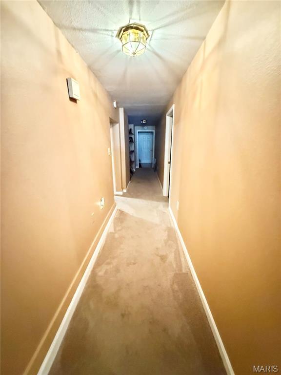 4366 Mcmillen Rd, De Soto, MO 63020 - photo 39