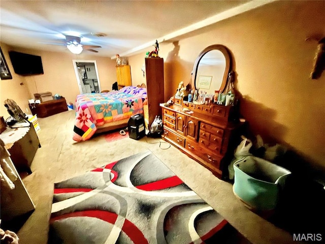 4366 Mcmillen Rd, De Soto, MO 63020 - photo 40