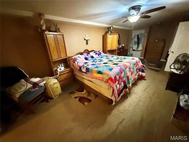 4366 Mcmillen Rd, De Soto, MO 63020 - photo 42