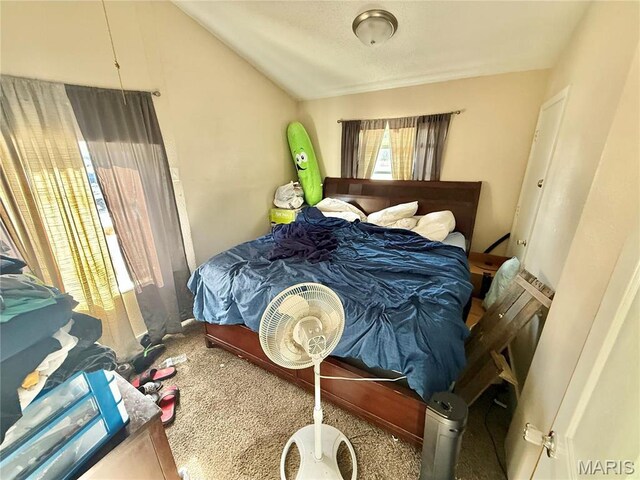 4366 Mcmillen Rd, De Soto, MO 63020 - photo 69
