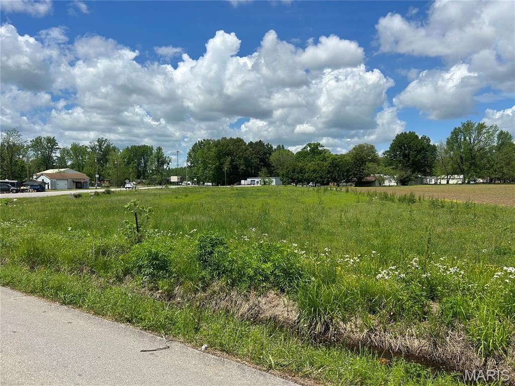 2221 County Road 608, Poplar Bluff, MO 63901 - photo 2