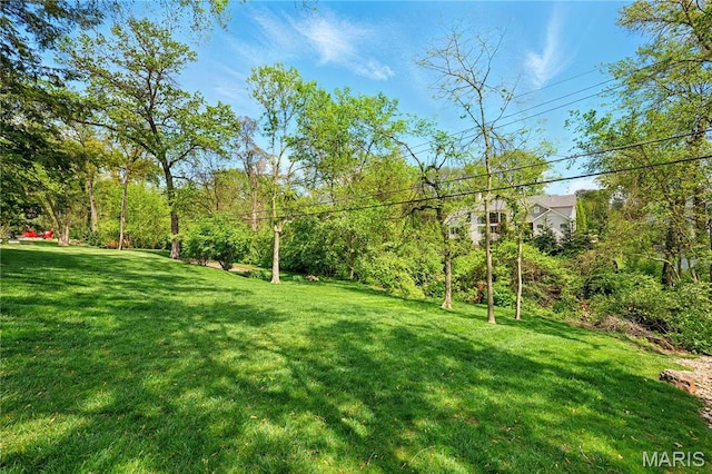 24 Rio Vista Dr, Saint Louis, MO 63124 - view of grassy yard