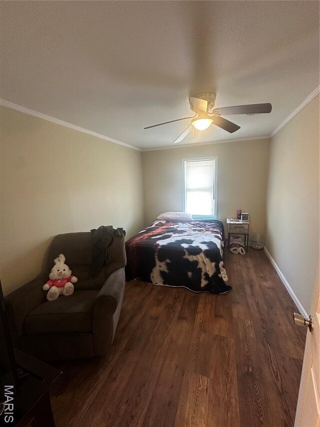 201 E Maple St, East Prairie, MO 63845 - photo 8