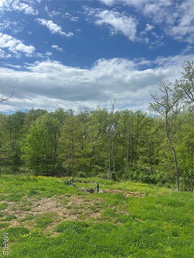 91 N Chantilly Rd, Winfield, MO 63389 - view of woods