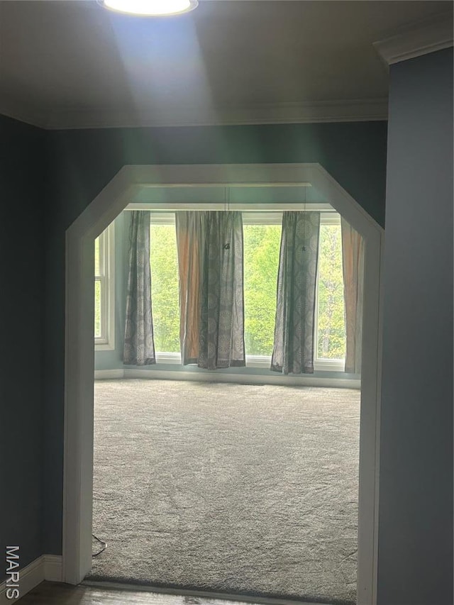 91 N Chantilly Rd, Winfield, MO 63389 - additional living space featuring carpet flooring