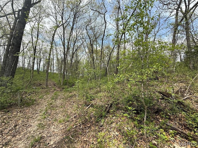 56 Berger Rd, Middletown, MO 63359 - view of wooded area