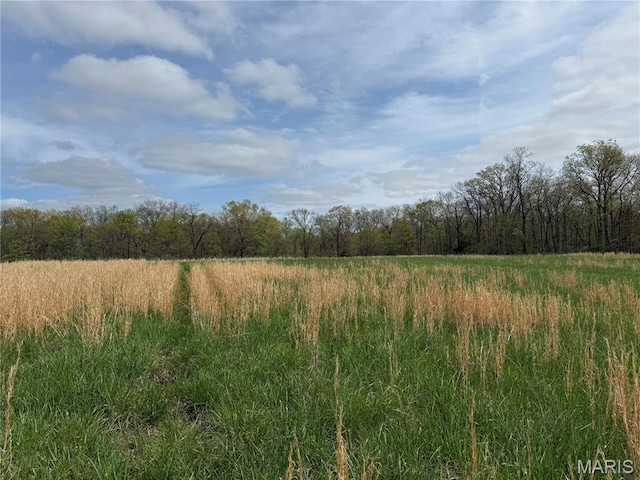 56 Berger Rd, Middletown, MO 63359 - view of wooded area featuring a rural view