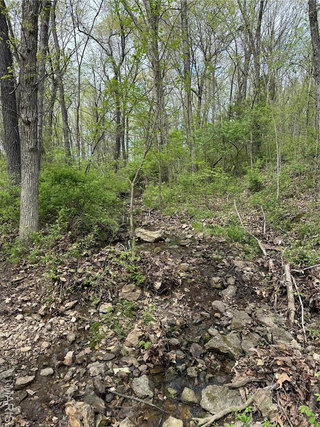 56 Berger Rd, Middletown, MO 63359 - view of wooded area