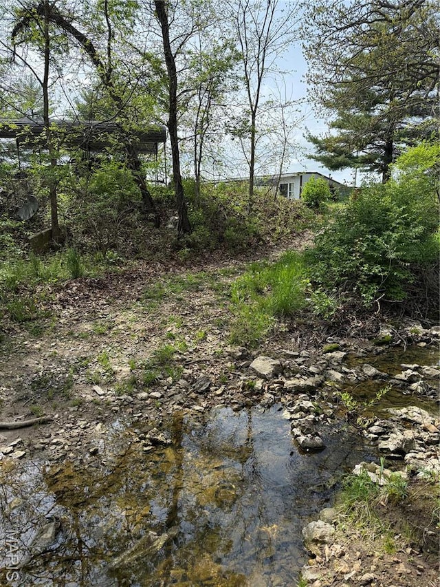 56 Berger Rd, Middletown, MO 63359 - view of yard