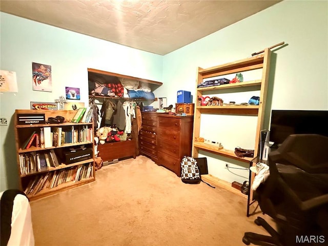 56 Berger Rd, Middletown, MO 63359 - bedroom featuring carpet flooring