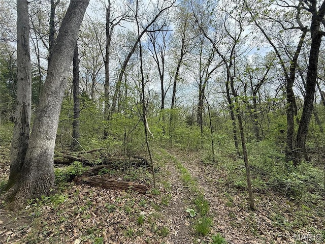56 Berger Rd, Middletown, MO 63359 - view of woods