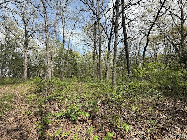 56 Berger Rd, Middletown, MO 63359 - view of wooded area