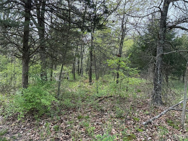 56 Berger Rd, Middletown, MO 63359 - view of woods