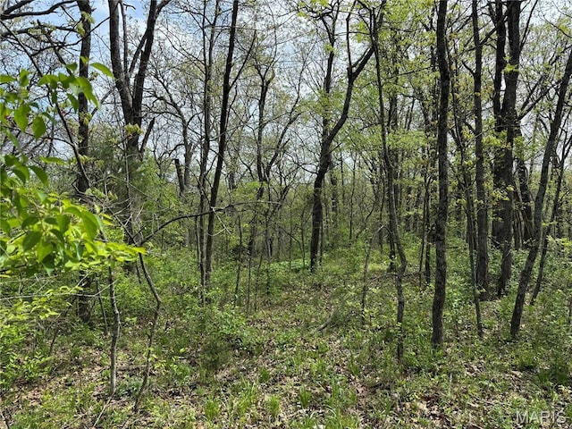 56 Berger Rd, Middletown, MO 63359 - view of tree filled area